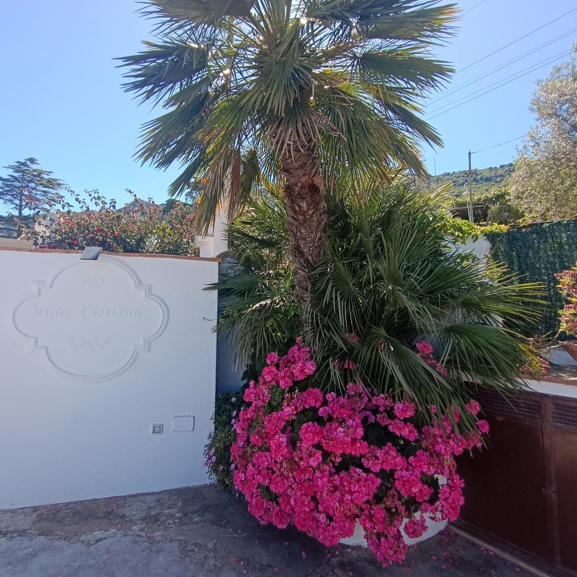 La Campagnola Apartment Анакапри Екстериор снимка